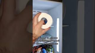 почему нужно хранить рулон туалетной бумаги в холодильнике #lifehacks #home #kitchen #eis