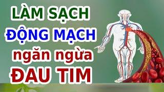 9 Thực Phẩm LÀM SẠCH ĐỘNG MẠCH Giúp Ngăn Ngừa CƠN ĐAU TIM | EVA COCO