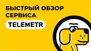 Обзор сервиса Telemetr