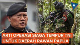 Mengenal Operasi Siaga Tempur di Papua yang Dikerahkan Panglima TNI