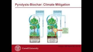 COP22 - Getting Carbon Smart: Carbon Sequestration in Soil