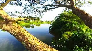 Sri lanka | Polonnaruwa | Aralaganwila | Village | Rivers | Aerial video | Custom build drone