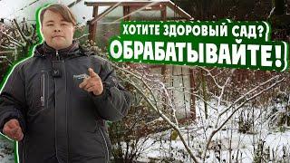 ХОТИТЕ ЗДОРОВЫЙ #САД? ОБРАБАТЫВАЙТЕ!