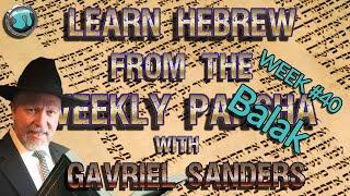 Learn Hebrew Using the Weekly Torah Portion Week 40 'Balak' PLUS Commentary - Gavriel Sanders - 1821