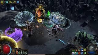 Adopting the Elder as my pet but Shaper says NO