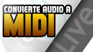 Como Convertir Audio a MIDI en Ableton Live en Segundos! | Tutorial en Español 2022