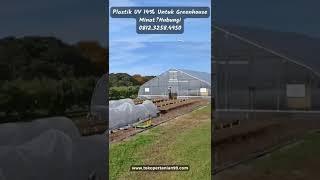 Jual Plastik UV Greenhouse, Plastik UV Penjemuran 14% Murah