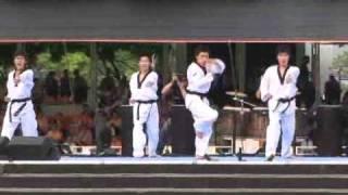 Taekwondo Demonstration 6 : Poomsae (Shinhwa)