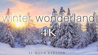 11 Stunden 4K Winter Wonderland + Beruhigende Hang Drum Musik zur Entspannung, Stressabbau [UHD]