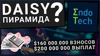 DAISY ПИРАМИДА? КАК ENDOTECH СДЕЛАЛ 450% ПРИБЫЛИ ДЛЯ ДЕЙЗИ ЗА 8 МЕСЯЦЕВ НА МЕДВЕЖЬЕМ РЫНКЕ?