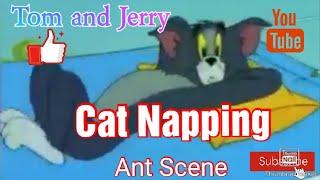 Tom and Jerry - 'Cat Napping'  Ant Scene