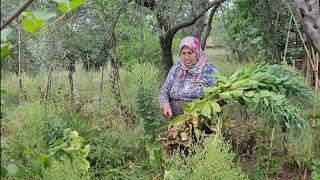 ANACIMIN BAHÇESİNİ TEMİZLİYORUZ ️TOHUMLARI AYIRIYORUZ️