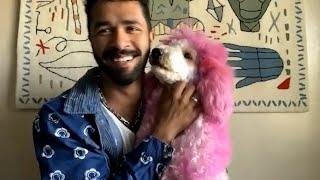 Gabriel Feitosa, one of the world's most famous creative dog groomers, answers 7 Questions with Emmy