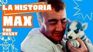 Así llegó Max a nuestras vidas ¡Esta es su historia!