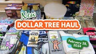 NEW DOLLAR TREE HAUL From the Poconos!  February 28, 2024
