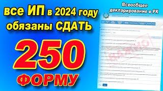 ИНСТРУКЦИЯ как ПРАВИЛЬНО сдать 250 форму для ИП в 2024 году. Всеобщее декларирование в Казахстане