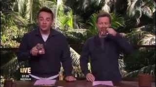 Ant and Dec's "Apology Time" - I'm A Celebrity 2015