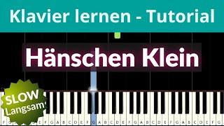 Hänschen Klein | LANGSAM Tutorial Klavier lernen online | deutsche Kinderlieder  Felicitas Falke 