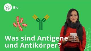 Antigene und Antikörper: Was ist das und wozu braucht man sie? – Biologie | Duden Learnattack