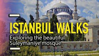  Istanbul Walking Tour - Süleymaniye Mosque and Gardens