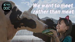 "We want to meet rather than meat." Families building Korea's first cow sanctuary | 240119 KBS