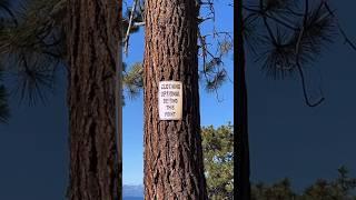 ️ Bodypainting at a Lake Tahoe nudist beach