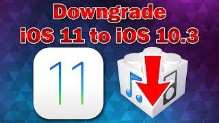 How to Downgrade iOS 11 Beta to iOS 10.3.3 / 10.3.2 on iPhone, iPod touch or iPad