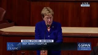 On Veterans' Day Kaptur urges support for her VET MD bill