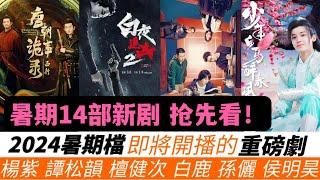 暑期必追！2024暑期檔開播的14部重磅新劇！7月迎來《長相思2》《少年白馬醉春風》《半熟男女》等！8月鎖定《唐朝詭事錄之西行》《四方館》，以及多部重磅懸疑劇《白夜破曉》《烏雲之上》！