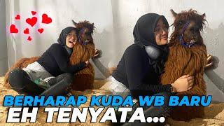 DI PRANK AYAH DI KIRA KUDA BARU TERNYATA ALPACA..! OMG LUCU BANGETTT