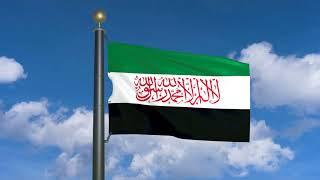 Flag of the Syrian Salvation Government (moving clouds)