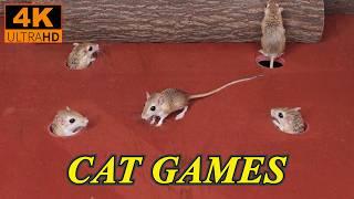 Interactive Cat Games: Mice Running Wild, Hide & Seek and play on Screen 4k 60fps