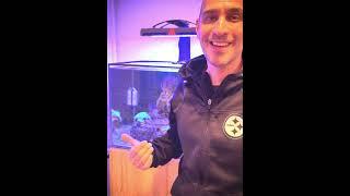 Introduction to Steve’s Reef, Amateur Hour YouTube Reef Enthusiast Channel. Please Subscribe!