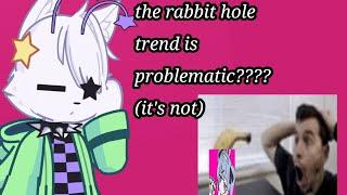 a commentary on @Midnightadhdmess rant on the rabbit hole trend