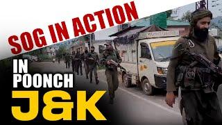 Poonch Police SOG Launches Search Operation After Receiving Information Of Suspicious Movement |J&K