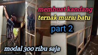 Membuat kandang ternak murai batu modal cuma 300 ribu