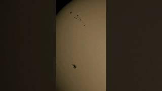 Sunspots (OTA Newton Antares "Titano" 76/700)