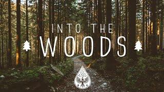 Into The Woods  - A Mysterious Folk/Pop Playlist