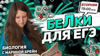 БЕЛКИ | ЕГЭ по биологии