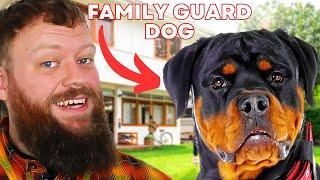 Top Family Guard Dog For You