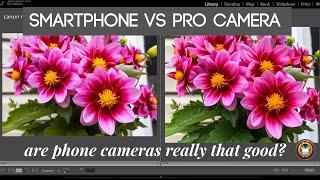 Smartphone vs Pro Camera