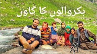 Village of Bakarwals in mountains of kashmir  | JALIB VLOGS |