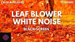 Leaf blower white noise  / 10 hours of leaf blower sounds with a black screen