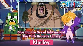 Dive into the Sea of Information! The Punk Records Library!〜Morley〜