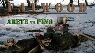 Fatwood: Abete vs Pino