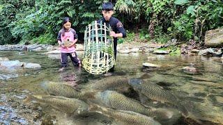 Homeless boy and girl discover a school of giant fish in a shallow river - Homeless Boy VN