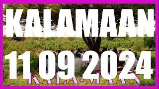 KALAMAAN 11 SEPTEMBER 2024