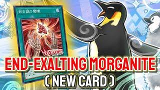 New Morganite Card!! YGOPRO - End-Exalting Morganite | Floowandereeze Jun.2024 | New Card