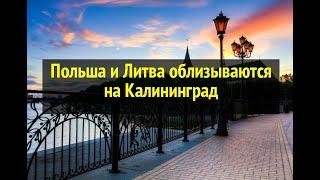 Польша и Литва облизываются на Калининград