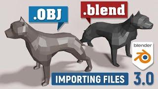 How to Import OBJ Files and Blender Files into Blender 3.0